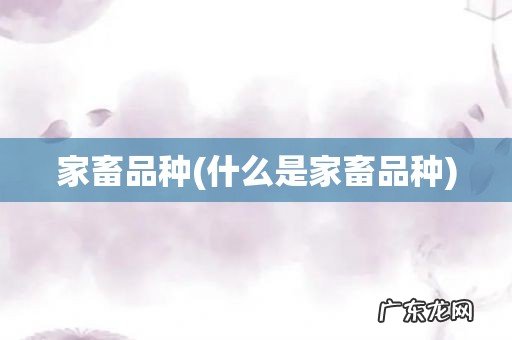 什么是家畜品种 家畜品种