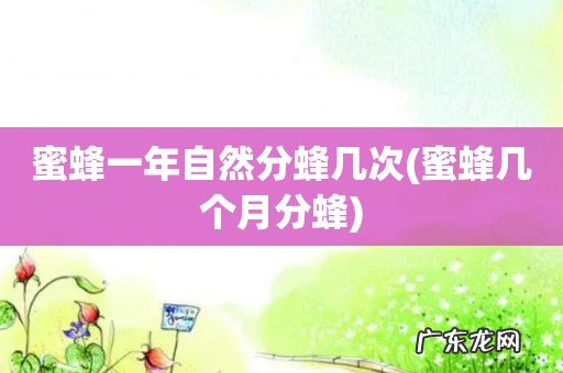 蜜蜂几个月分蜂 蜜蜂一年自然分蜂几次