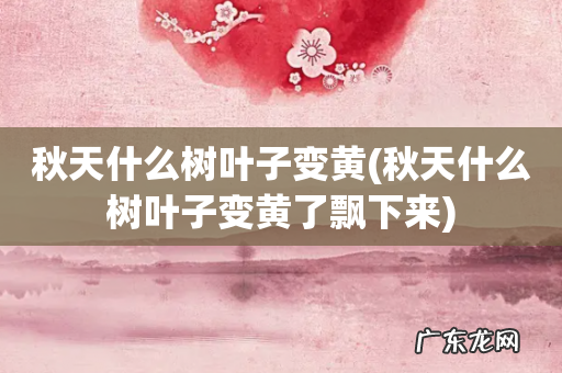 秋天什么树叶子变黄了飘下来 秋天什么树叶子变黄