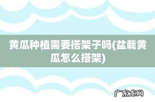 盆栽黄瓜怎么搭架 黄瓜种植需要搭架子吗