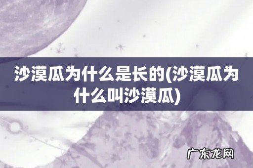 沙漠瓜为什么叫沙漠瓜 沙漠瓜为什么是长的