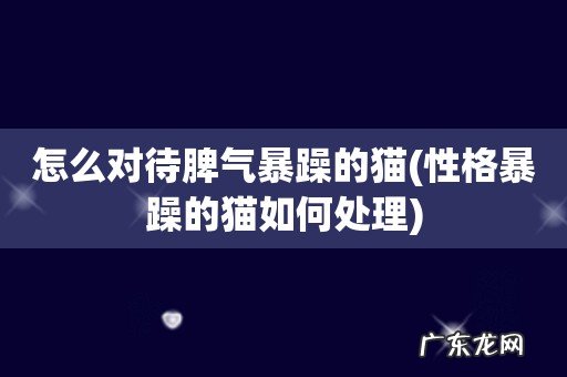 性格暴躁的猫如何处理 怎么对待脾气暴躁的猫