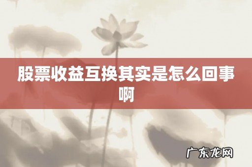 股票收益互换其实是怎么回事啊