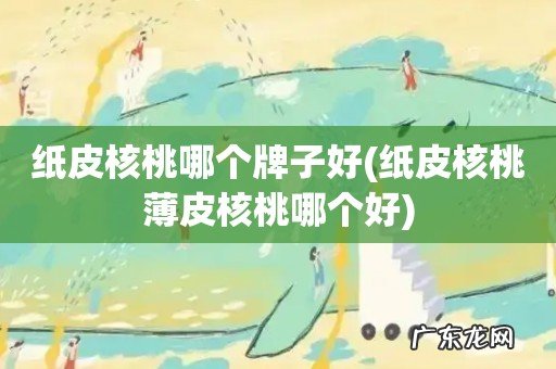 纸皮核桃薄皮核桃哪个好 纸皮核桃哪个牌子好