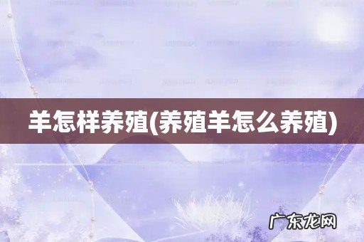 养殖羊怎么养殖 羊怎样养殖