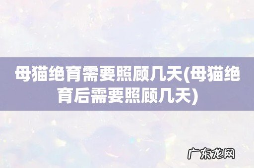 母猫绝育后需要照顾几天 母猫绝育需要照顾几天