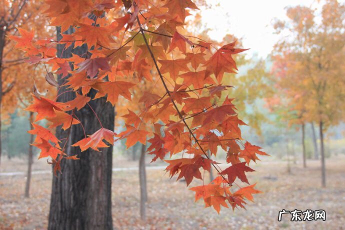 八月十五的风水 八月风水上有什么讲究