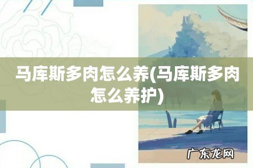 马库斯多肉怎么养护 马库斯多肉怎么养