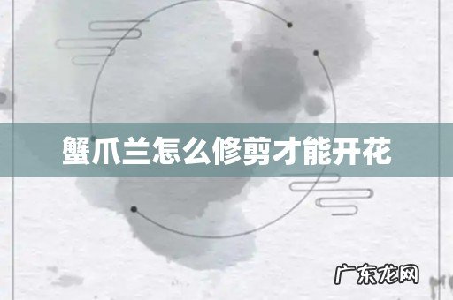 蟹爪兰怎么修剪才能开花