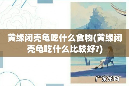 黄缘闭壳龟吃什么比较好? 黄缘闭壳龟吃什么食物