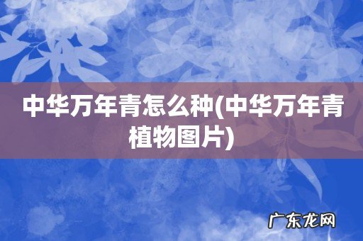 中华万年青植物图片 中华万年青怎么种