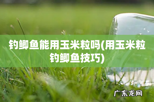 用玉米粒钓鲫鱼技巧 钓鲫鱼能用玉米粒吗