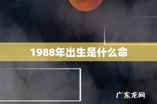 1988年出生是什么命