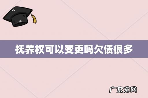 抚养权可以变更吗欠债很多