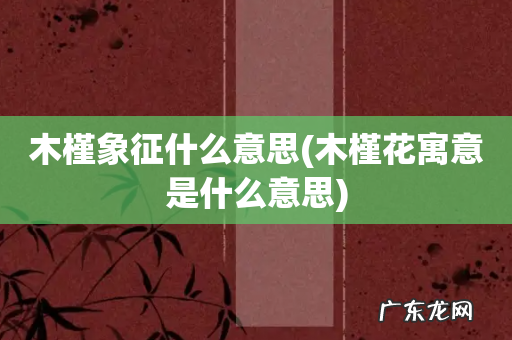 木槿花寓意是什么意思 木槿象征什么意思