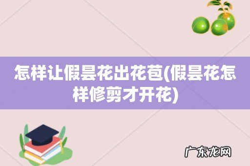 假昙花怎样修剪才开花 怎样让假昙花出花苞