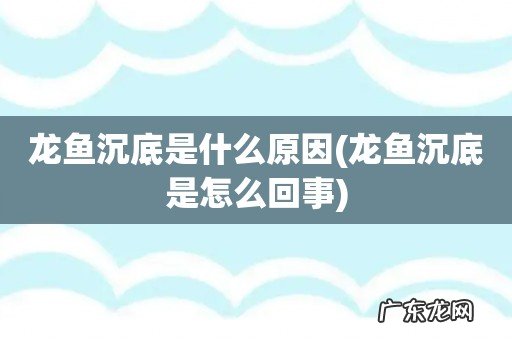 龙鱼沉底是怎么回事 龙鱼沉底是什么原因