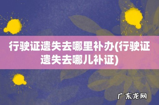 行驶证遗失去哪儿补证 行驶证遗失去哪里补办
