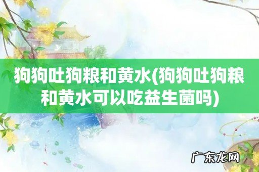 狗狗吐狗粮和黄水可以吃益生菌吗 狗狗吐狗粮和黄水