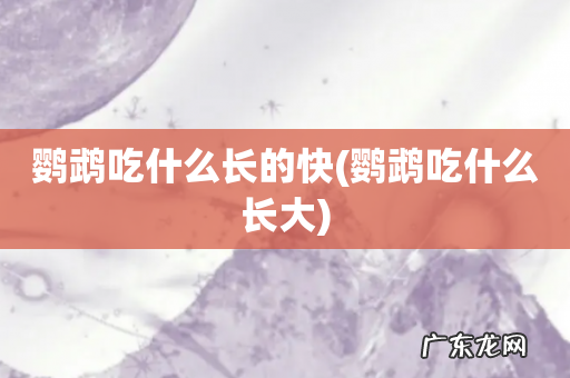 鹦鹉吃什么长大 鹦鹉吃什么长的快