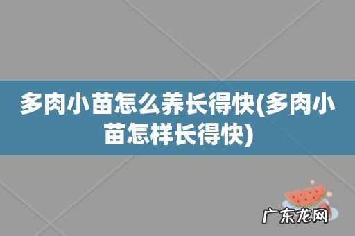 多肉小苗怎样长得快 多肉小苗怎么养长得快