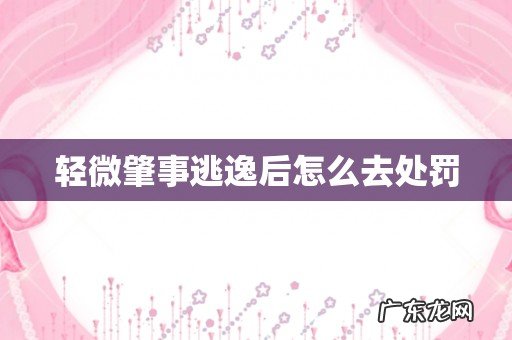 轻微肇事逃逸后怎么去处罚