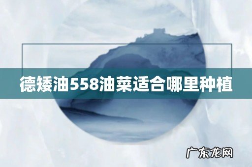 德矮油558油菜适合哪里种植