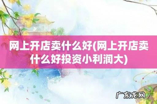 网上开店卖什么好投资小利润大 网上开店卖什么好