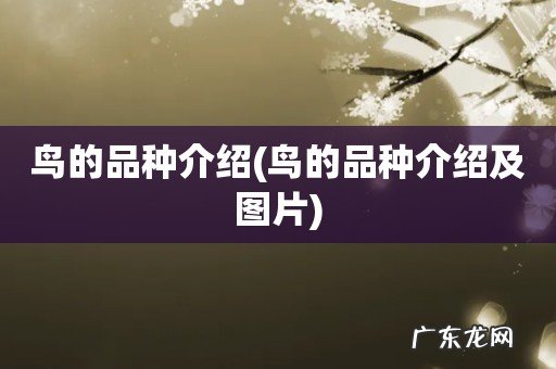 鸟的品种介绍及图片 鸟的品种介绍