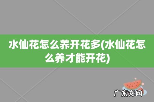 水仙花怎么养才能开花 水仙花怎么养开花多