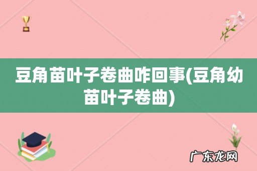 豆角幼苗叶子卷曲 豆角苗叶子卷曲咋回事