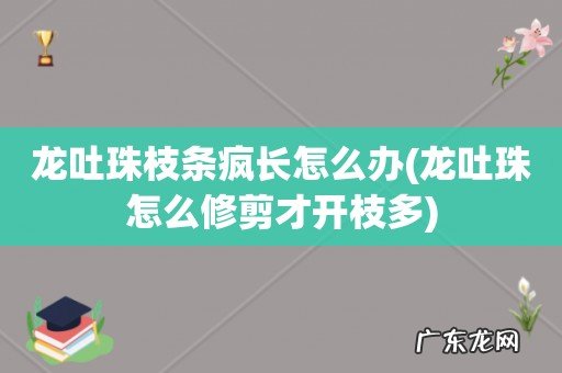龙吐珠怎么修剪才开枝多 龙吐珠枝条疯长怎么办