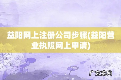 益阳营业执照网上申请 益阳网上注册公司步骤