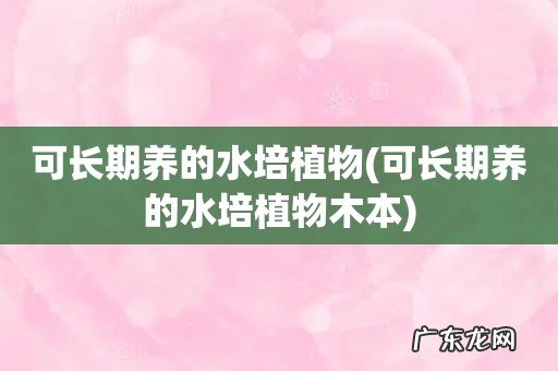 可长期养的水培植物木本 可长期养的水培植物
