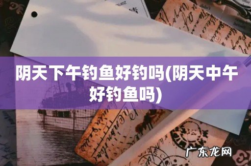 阴天中午好钓鱼吗 阴天下午钓鱼好钓吗