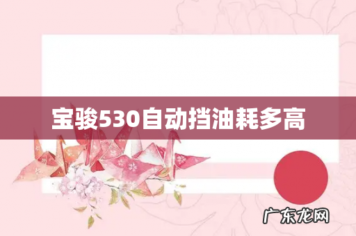宝骏530自动挡油耗多高