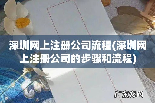深圳网上注册公司的步骤和流程 深圳网上注册公司流程