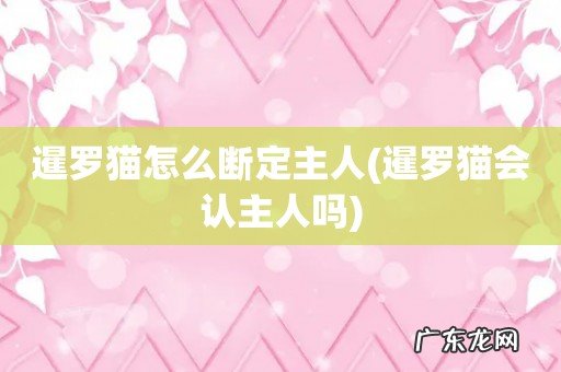 暹罗猫会认主人吗 暹罗猫怎么断定主人