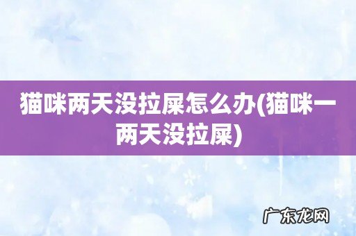 猫咪一两天没拉屎 猫咪两天没拉屎怎么办
