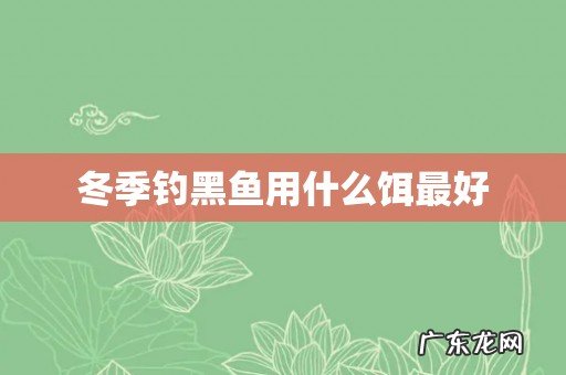冬季钓黑鱼用什么饵最好