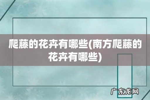 南方爬藤的花卉有哪些 爬藤的花卉有哪些