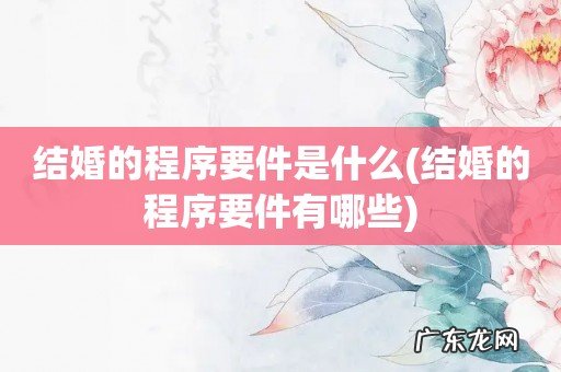 结婚的程序要件有哪些 结婚的程序要件是什么