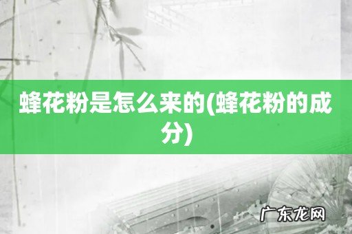 蜂花粉的成分 蜂花粉是怎么来的