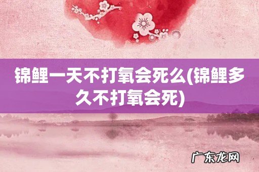 锦鲤多久不打氧会死 锦鲤一天不打氧会死么