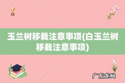 白玉兰树移栽注意事项 玉兰树移栽注意事项