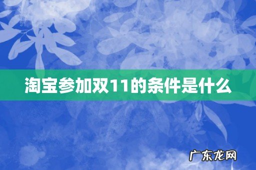 淘宝参加双11的条件是什么