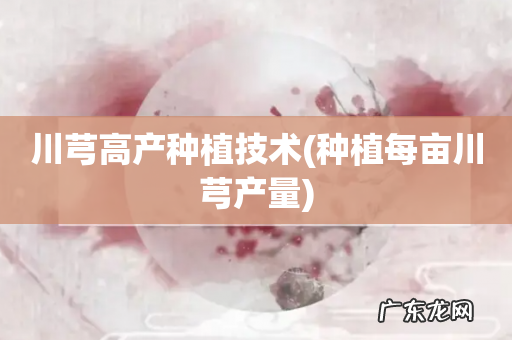 种植每亩川芎产量 川芎高产种植技术