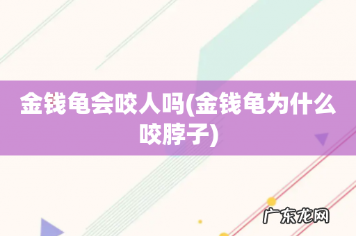 金钱龟为什么咬脖子 金钱龟会咬人吗