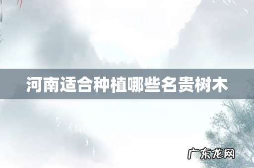 河南适合种植哪些名贵树木