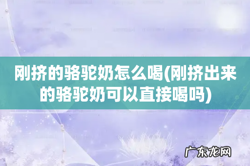 刚挤出来的骆驼奶可以直接喝吗 刚挤的骆驼奶怎么喝
